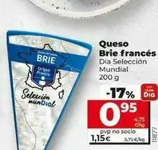 Queso brie dia