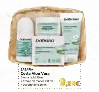 Hiper Usera BABARIA Cesta Aloe Vera oferta