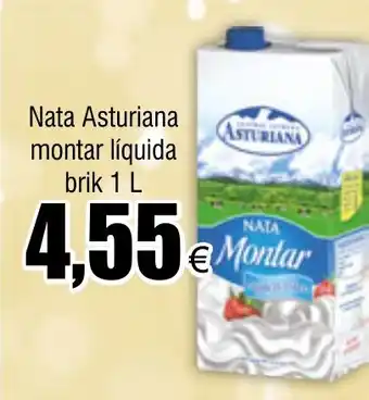 FROIZ Nata Asturiana montar líquida brik 1 L oferta