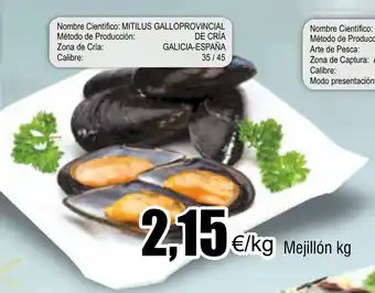 FROIZ Mejillón kg oferta