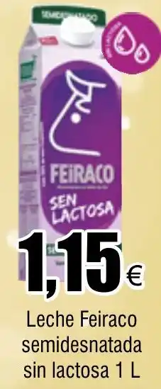 FROIZ Leche Feiraco semidesnatada sin lactosa 1 L oferta