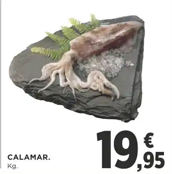 Supercor CALAMAR. oferta