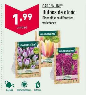ALDI Gardenline® Bulbos De Otoño oferta