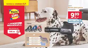 Lidl Arnés para perro oferta