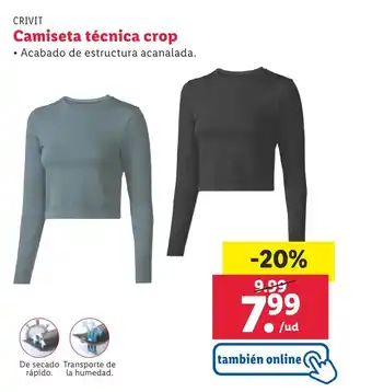 Lidl Camiseta técnica crop oferta