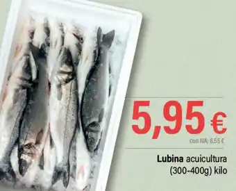 Cash Ifa Lubina acuicultura (300-400g) kilo oferta