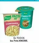 Carrefour En todos los pots knorr oferta