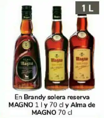 Carrefour En brandy solera reserva magno y alma de magno oferta