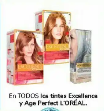 Carrefour En todos los tintes excellence y age perfect l'oreal oferta