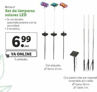 Lidl Lámpara solar melinera oferta