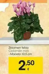 Eroski Ciclamen mini oferta