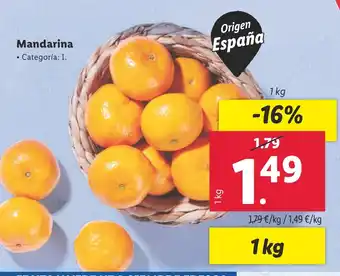 Lidl Mandarina • Categoría: I. oferta