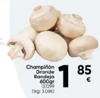 Family Cash Champiñón Grande Bandeja oferta
