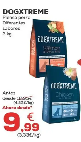 Kiwoko DOGXTREME oferta