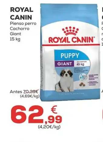 Kiwoko ROYAL CANIN Pienso perro Cachorro oferta