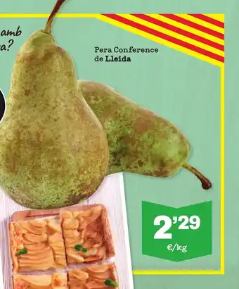 Sorli Pera Conference de Lleida oferta