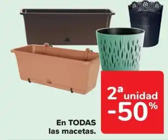 Carrefour En TODAS las macetas. oferta