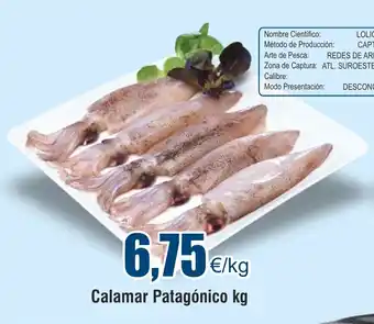 FROIZ Calamar Patagónico kg oferta