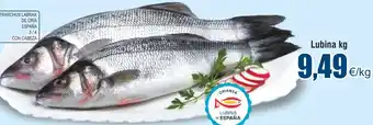 FROIZ Lubina kg oferta