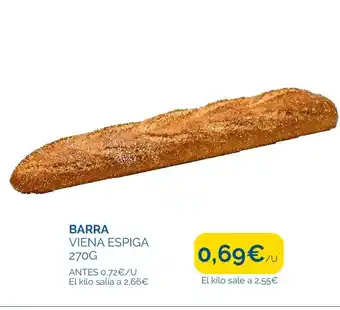 Cash Ecofamilia BARRA VIENA ESPIGA 270G oferta