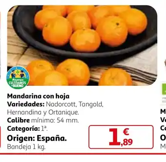 Alcampo Mandarina con hoja oferta