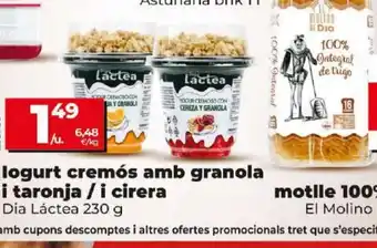 Dia logurt original amb maduixa oferta