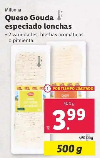 Lidl Queso Gouda especiado lonchas oferta