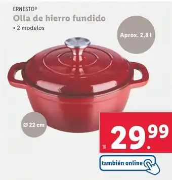 Lidl Olla de hierro fundido oferta