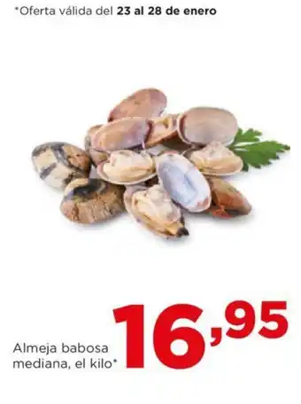 Alimerka Almeja babosa mediana, el kilo* oferta