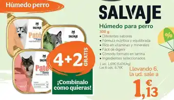 TiendAnimal Húmedo para perro oferta