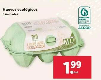 Lidl Huevos Ecológicos oferta