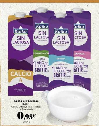 Gadis Leche Sin Lactosa Kaiku oferta