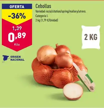 ALDI Cebollas oferta