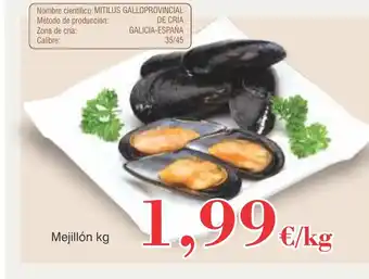 FROIZ Mejillón kg oferta