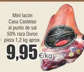 FROIZ Mini lacón Casa Castelao oferta