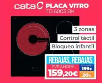 cata PLACA VITRO