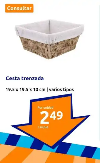 Action Cesta trenzada oferta