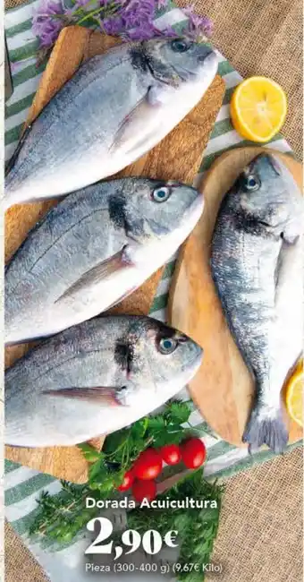 Gadis Dorada Acuicultura oferta