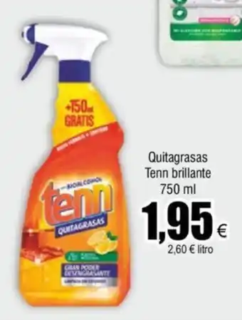 FROIZ Quitagrasas Tenn brillante 750 ml oferta