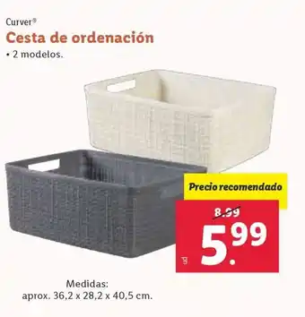 Lidl Cesta de ordenación oferta