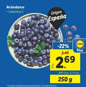 Lidl Arándano oferta