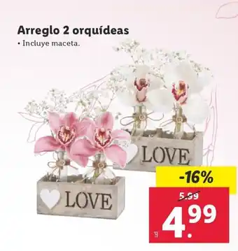 Lidl Arreglo 2 orquídeas oferta