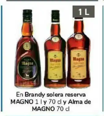 Carrefour En Brandy Solera Reserva Magno 70cl Y Alma De Magno 70cl oferta