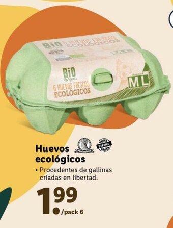 Lidl Huevos ecológicos oferta