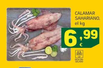 HiperDino Calamar Sahariano oferta