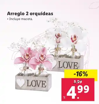 Lidl Arreglo 2 orquídeas oferta