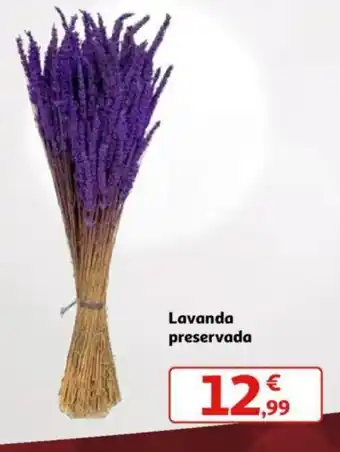 Alcampo Lavanda preservada oferta