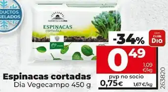 Dia Market Espinacas oferta