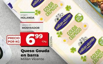 Maxi Dia Queso gouda millán vicente oferta