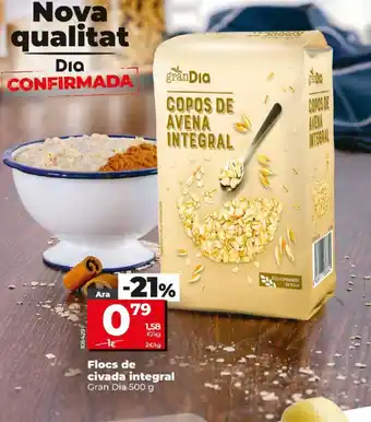 Dia Flocs de civada integral Gran Dia 500 g oferta